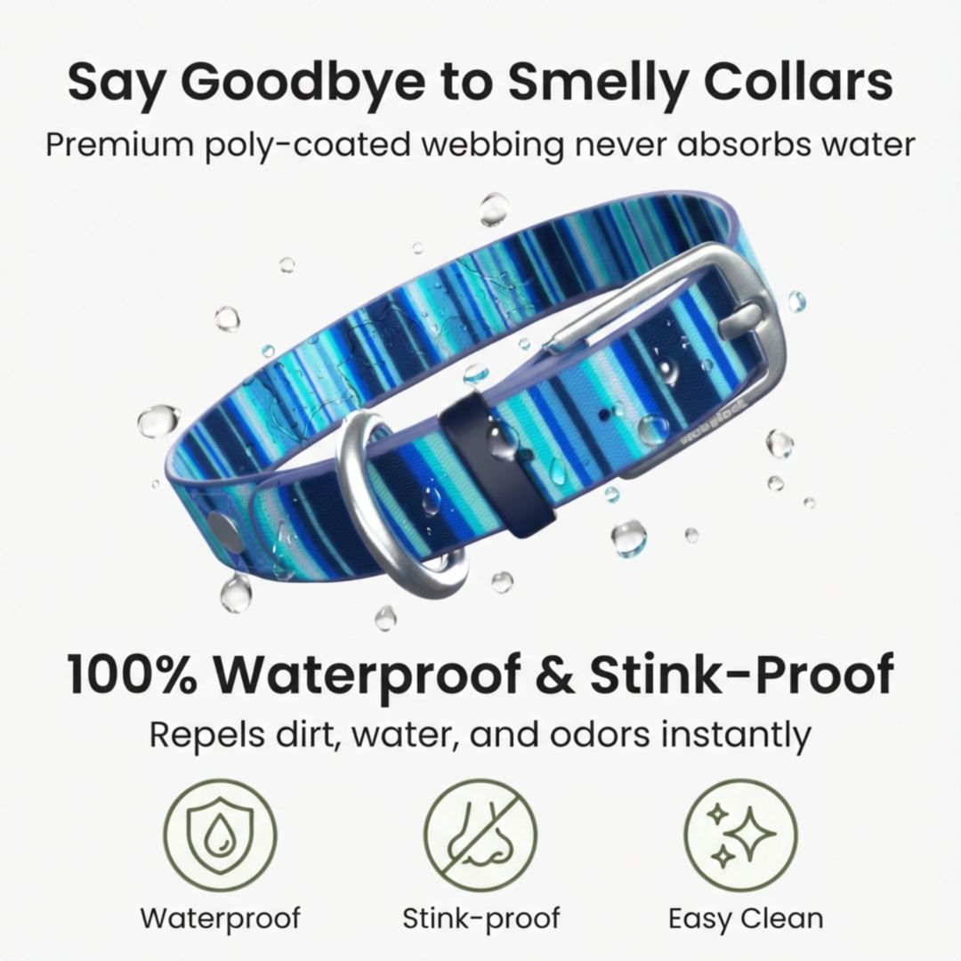 Waterproof Dog Collars – Washable Dog Collar, Stink-Proof & Durable