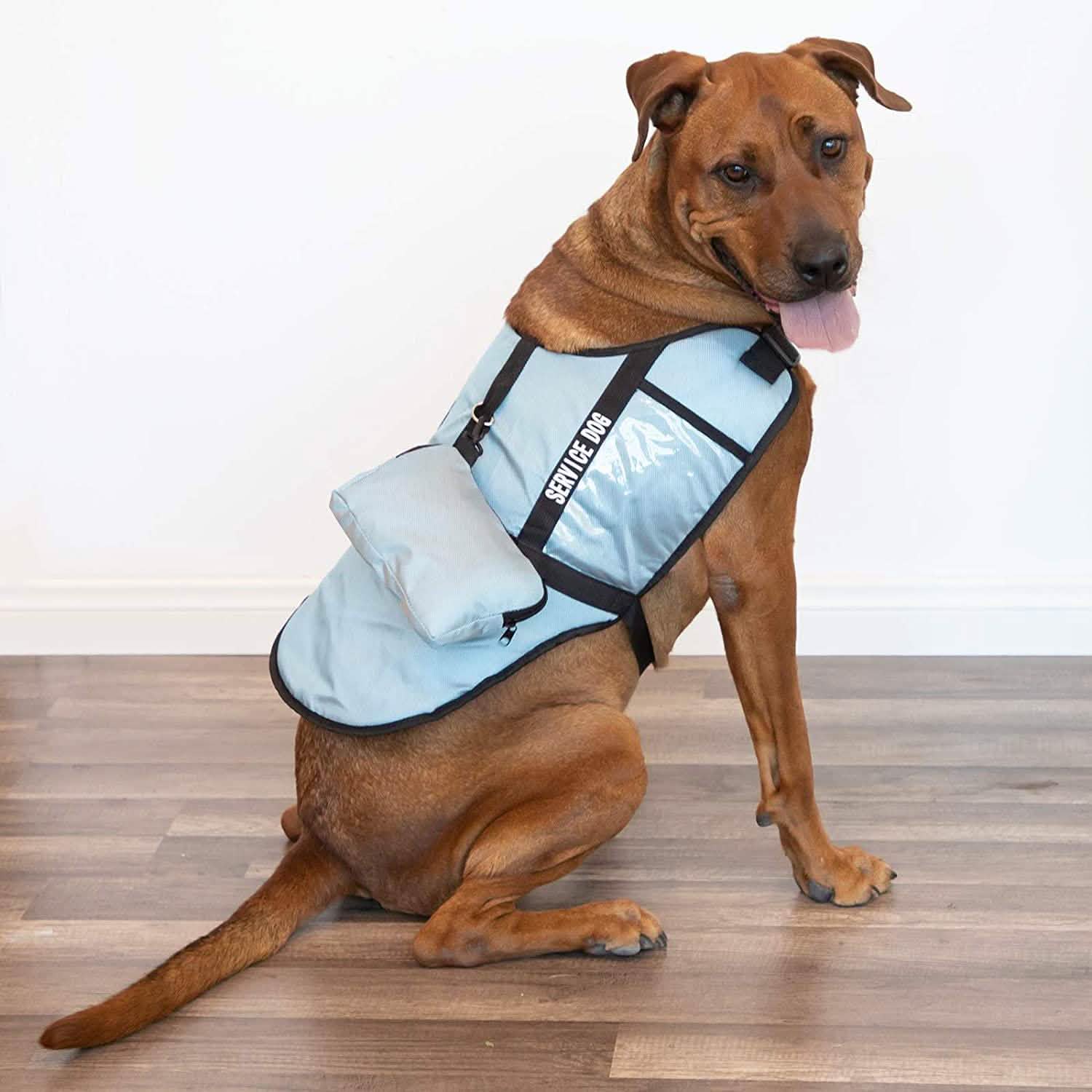 Service Dog Jacket