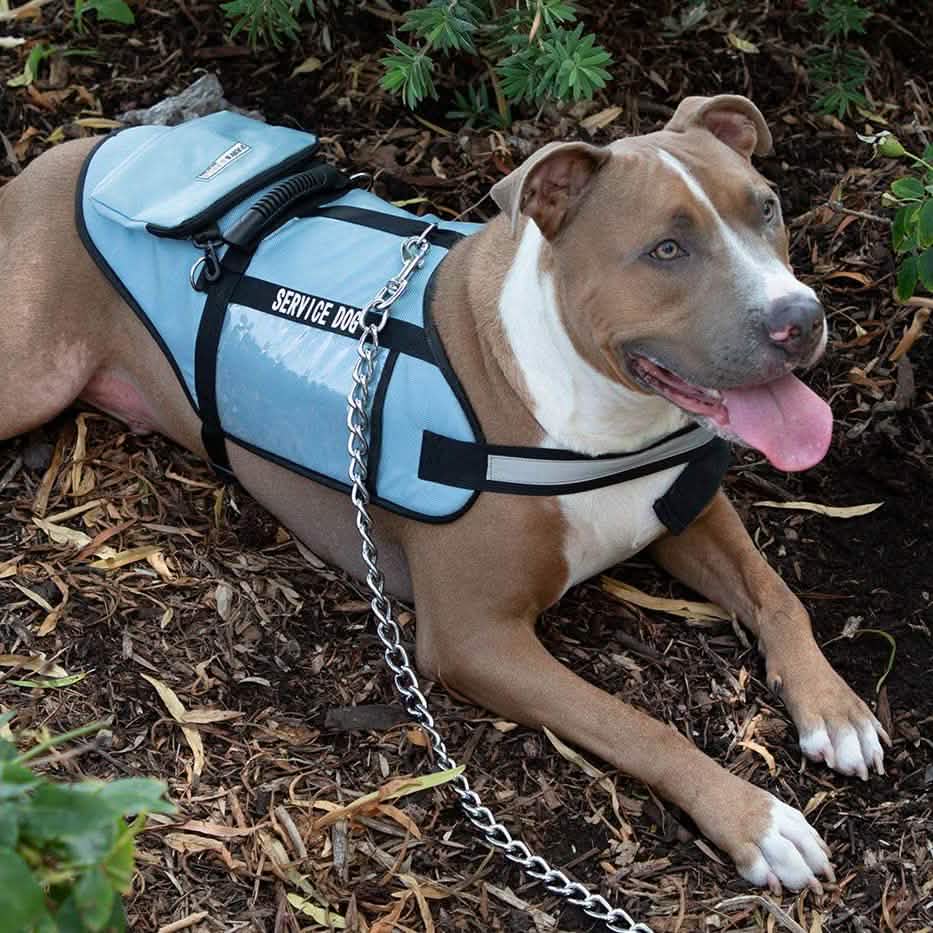Service Dog Jacket